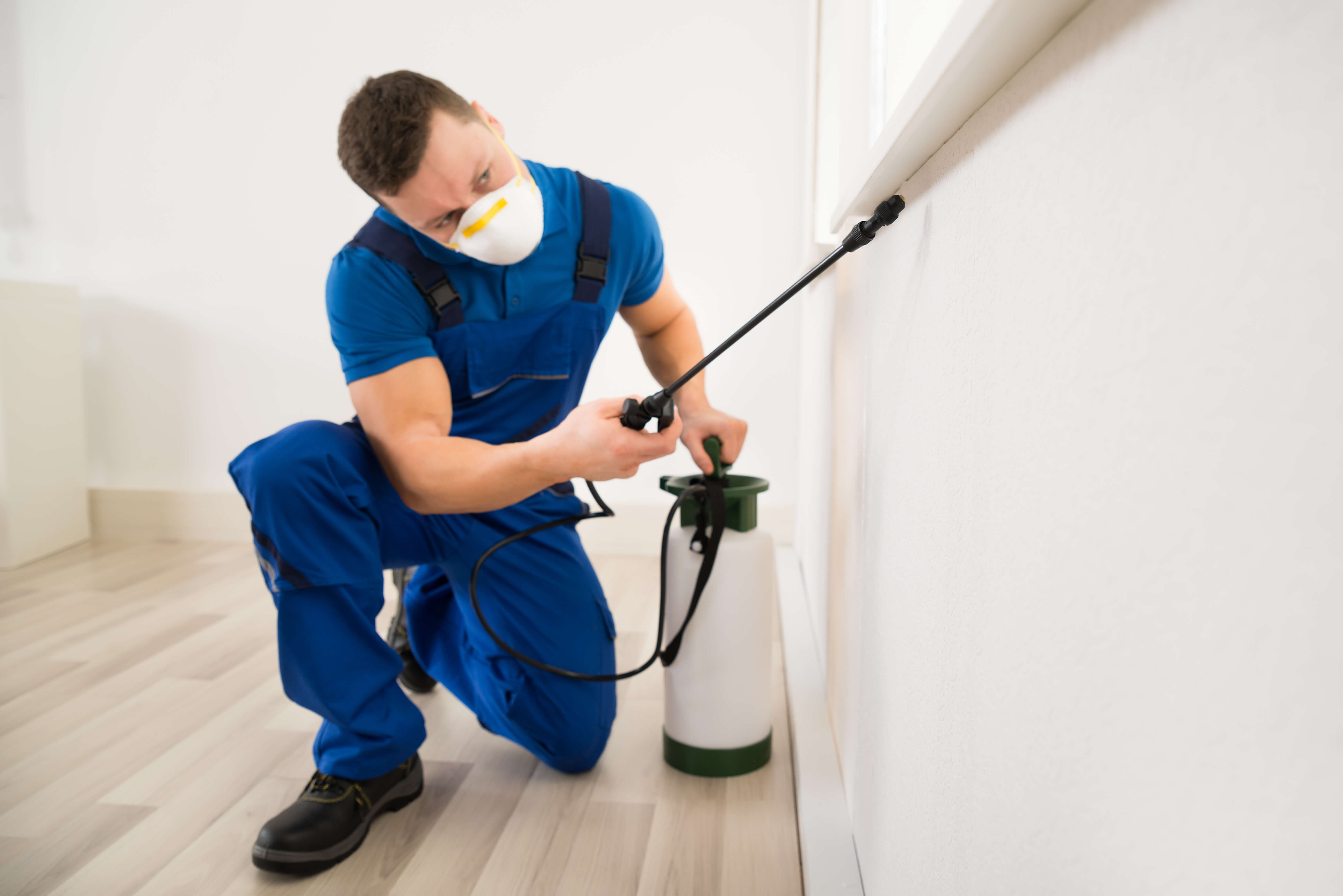 a pest control technician is treating a house